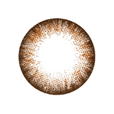 NEO N254 (High-Prescription & Presbyopia) Extra Dali Brown Colored Contact Lenses 6 months disposable (1 Pack)